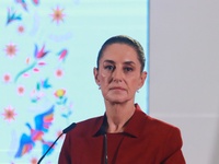 Claudia Sheinbaum Pardo, President of Mexico, speaks during a briefing conference about the rescue of Mexican Petroleum (PEMEX) at the Natio...