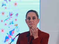 Claudia Sheinbaum Pardo, President of Mexico, speaks during a briefing conference about the rescue of Mexican Petroleum (PEMEX) at the Natio...