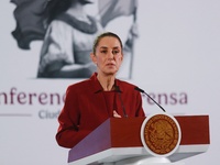 Claudia Sheinbaum Pardo, President of Mexico, speaks during a briefing conference about the rescue of Mexican Petroleum (PEMEX) at the Natio...