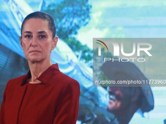 Claudia Sheinbaum Pardo, President of Mexico, speaks during a briefing conference about the rescue of Mexican Petroleum (PEMEX) at the Natio...