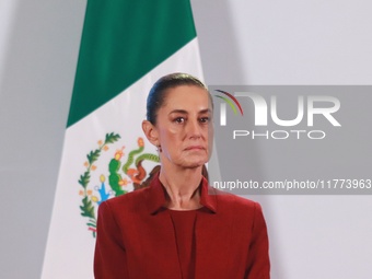 Claudia Sheinbaum Pardo, President of Mexico, speaks during a briefing conference about the rescue of Mexican Petroleum (PEMEX) at the Natio...