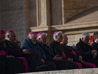 A group of Bishops and Cardinals attends Pope Francis's weekly General Audience in St. Peter's Square at the Vatican on November 13, 2024. (