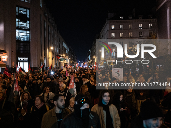 Protesters hold placards and wave Palestinian flags during a rally organized by political parties (La France Insoumise - LFI, Les Ecologiste...