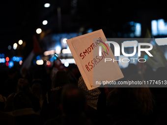 A protester holds a placard reading ''Smotrich assassin'' during a rally organized by political parties (La France Insoumise - LFI, Les Ecol...