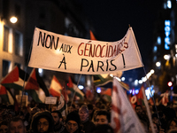 Protesters hold placards and wave Palestinian flags during a rally organized by political parties (La France Insoumise - LFI, Les Ecologiste...