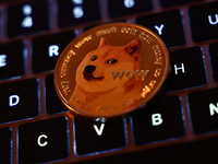 A laptop keyboard and representation of Dogecoin cryptocurrency  are seen in this illustration photo taken in Krakow, Poland on November 13,...