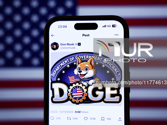 American flag displayed on a laptop screen and Elon Musk post about DOGE on X displayed on a phone screen are seen in this illustration phot...