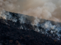 The Jennings Creek Wildfire burns near Greenwood Lake, NY, U.S., on November 13, 2024. The fire burns roughly 5000 acres with fire crews and...