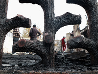 Residents and authorities survey the aftermath of a massive fire that ravages multiple furniture factories in Sopore's Industrial Estate, Ja...