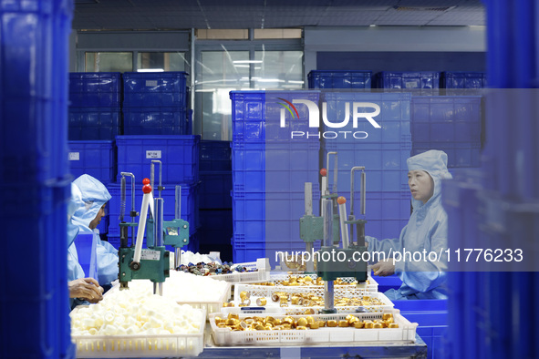 Workers produce new materials for high-end special-shaped anti-counterfeiting bottle caps at a workshop in the Sihong Economic Development Z...