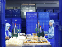 Workers produce new materials for high-end special-shaped anti-counterfeiting bottle caps at a workshop in the Sihong Economic Development Z...