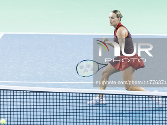 Ana Bogdan  during Billie Jean King Cup Finals match Japan vs Romania in Malaga Spain on 14 November 2024. (