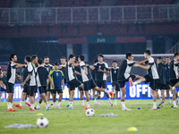 Players of Indonesia attend a training session before facing the Japan national team during the FIFA World Cup Asian 3rd Qualifier Group C a...