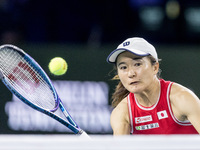 Shuko Aoyama  during Billie Jean King Cup Finals match Japan vs Romania in Malaga Spain on 14 November 2024. (