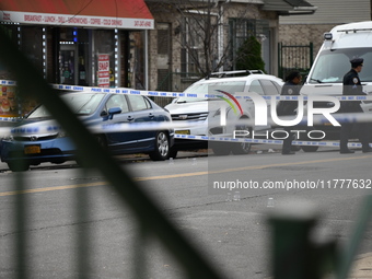 Two men are shot in the Coney Island section of Brooklyn, New York, United States, on November 14, 2024. At approximately 12:26 pm, Thursday...