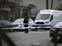 Two men are shot in the Coney Island section of Brooklyn, New York, United States, on November 14, 2024. At approximately 12:26 pm, Thursday...