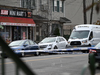 Two men are shot in the Coney Island section of Brooklyn, New York, United States, on November 14, 2024. At approximately 12:26 pm, Thursday...