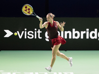 Ana Bogdan of Romania plays a forehand during the Billie Jean King Cup match between Japan and Romania at Palacio de los Deportes Martin Car...