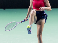 Danielle Collins  during Billie Jean King Cup Finals match Slovakia vs USA in Malaga Spain on 14 November 2024. (