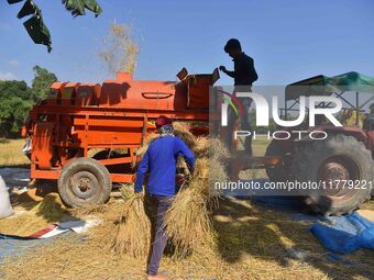 Farmers use a thresher machine to separate paddy grains in Nagaon district, Assam, India, on November 14, 2024. (