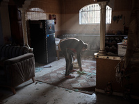 A Palestinian man inspects the site of an Israeli strike on a house in Deir Al-Balah in the central Gaza Strip on November 15, 2024. (