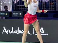 Dawid Celt , Magda Linette  during Billie Jean King Cup Finals match Spain vs Poland in Malaga Spain on 15 November 2024. (