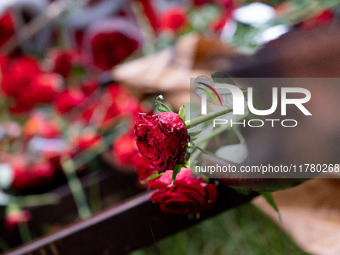 Carnations and wreaths are laid on a monument inside the Athens Polytechnic during the celebration of the 51st anniversary of the Polytechni...