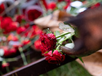 Carnations and wreaths are laid on a monument inside the Athens Polytechnic during the celebration of the 51st anniversary of the Polytechni...