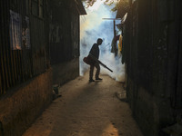 A worker sprays pesticide to kill mosquitoes at a slum in the capital city of Dhaka, Bangladesh. The country records 1,705 dengue-related de...