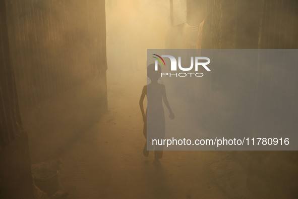 A child walks through the smoke at a slum in Dhaka, Bangladesh, as a worker sprays pesticide to kill mosquitoes. The country records 1,705 d...