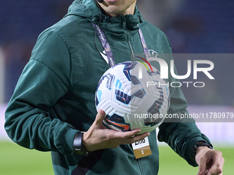 Referee Donatas Rumsas reacts before the UEFA Nations League 2024/25 League A Group A1 match between Portugal and Poland at Estadio Do Draga...