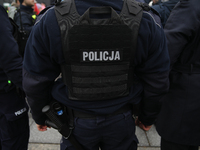 In Warsaw, Poland, on November 10, 2024, police attend the monthly celebrations of the Smolensk disaster at the Monument to the Victims of t...