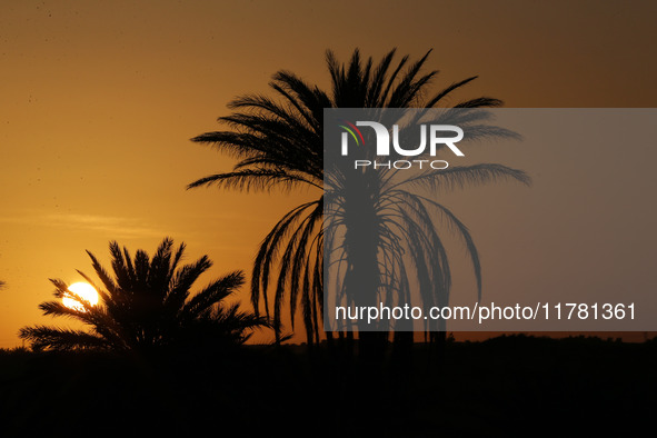 The photo, taken in Oued Souf, Algeria, on November 15, 2024, shows a sunset during the 6th International Saharan Tourism Festival (FITS). O...