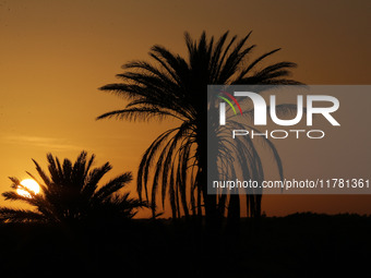 The photo, taken in Oued Souf, Algeria, on November 15, 2024, shows a sunset during the 6th International Saharan Tourism Festival (FITS). O...