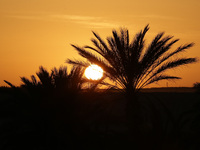 The photo, taken in Oued Souf, Algeria, on November 15, 2024, shows a sunset during the 6th International Saharan Tourism Festival (FITS). O...