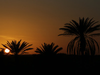 The photo, taken in Oued Souf, Algeria, on November 15, 2024, shows a sunset during the 6th International Saharan Tourism Festival (FITS). O...