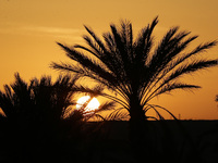 The photo, taken in Oued Souf, Algeria, on November 15, 2024, shows a sunset during the 6th International Saharan Tourism Festival (FITS). O...