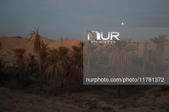 A photo taken in Oued Souf, Algeria, on November 15, 2024, shows a full moon during the 6th International Saharan Tourism Festival (FITS). O...