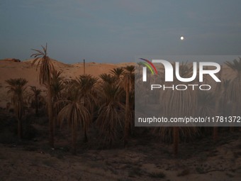 A photo taken in Oued Souf, Algeria, on November 15, 2024, shows a full moon during the 6th International Saharan Tourism Festival (FITS). O...