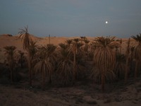 A photo taken in Oued Souf, Algeria, on November 15, 2024, shows a full moon during the 6th International Saharan Tourism Festival (FITS). O...