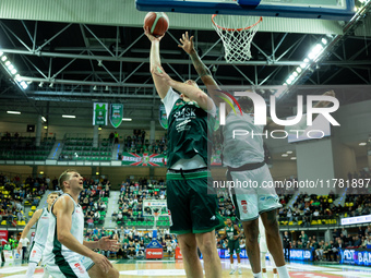 Adrian Bogucki participates in a match of the Orlen Basket Liga between Zastal Zielona Gora and WKS Slask Wroclaw in Wroclaw, Poland, on Nov...