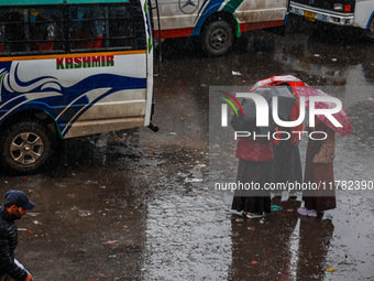 People use umbrellas as they walk amid heavy rainfall in Sopore, Jammu and Kashmir, India, on November 16, 2024. Higher reaches in Kashmir,...