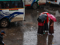 People use umbrellas as they walk amid heavy rainfall in Sopore, Jammu and Kashmir, India, on November 16, 2024. Higher reaches in Kashmir,...