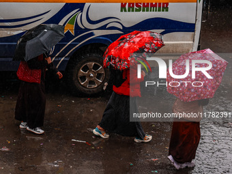 People use umbrellas as they walk amid heavy rainfall in Sopore, Jammu and Kashmir, India, on November 16, 2024. Higher reaches in Kashmir,...