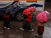 People use umbrellas as they walk amid heavy rainfall in Sopore, Jammu and Kashmir, India, on November 16, 2024. Higher reaches in Kashmir,...