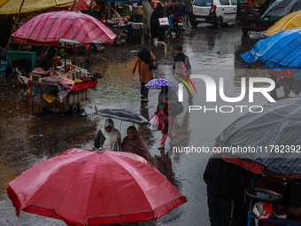 People use umbrellas as they walk amid heavy rainfall in Sopore, Jammu and Kashmir, India, on November 16, 2024. Higher reaches in Kashmir,...