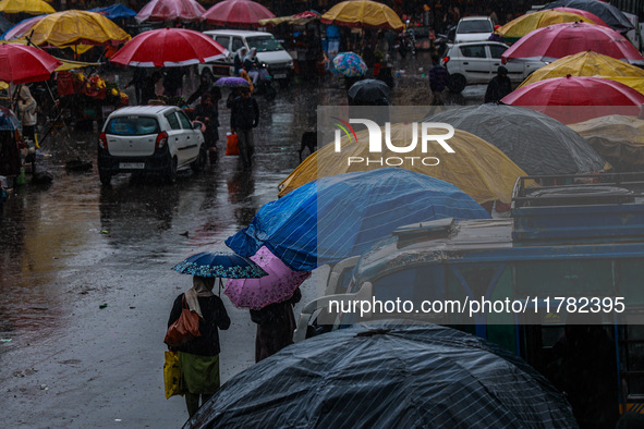 People use umbrellas as they walk amid heavy rainfall in Sopore, Jammu and Kashmir, India, on November 16, 2024. Higher reaches in Kashmir,...