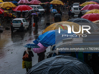 People use umbrellas as they walk amid heavy rainfall in Sopore, Jammu and Kashmir, India, on November 16, 2024. Higher reaches in Kashmir,...