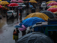 People use umbrellas as they walk amid heavy rainfall in Sopore, Jammu and Kashmir, India, on November 16, 2024. Higher reaches in Kashmir,...