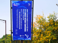 Flags of the World Internet Conference 2024 are seen on a street in Wuzhen, Zhejiang province, China, on November 16, 2024. (